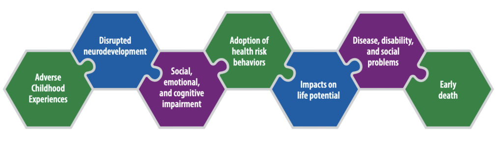 cdc socialdeterminants | curaJOY