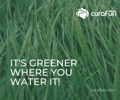 grass2 | curaJOY