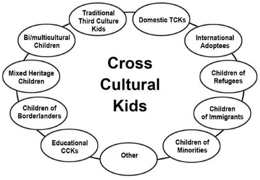 The Ultimate International Experience: Life as Third Culture and Cross Culture Kids 4 cckmodel thirdculturekids pollock vanreken 1 e1550038073784